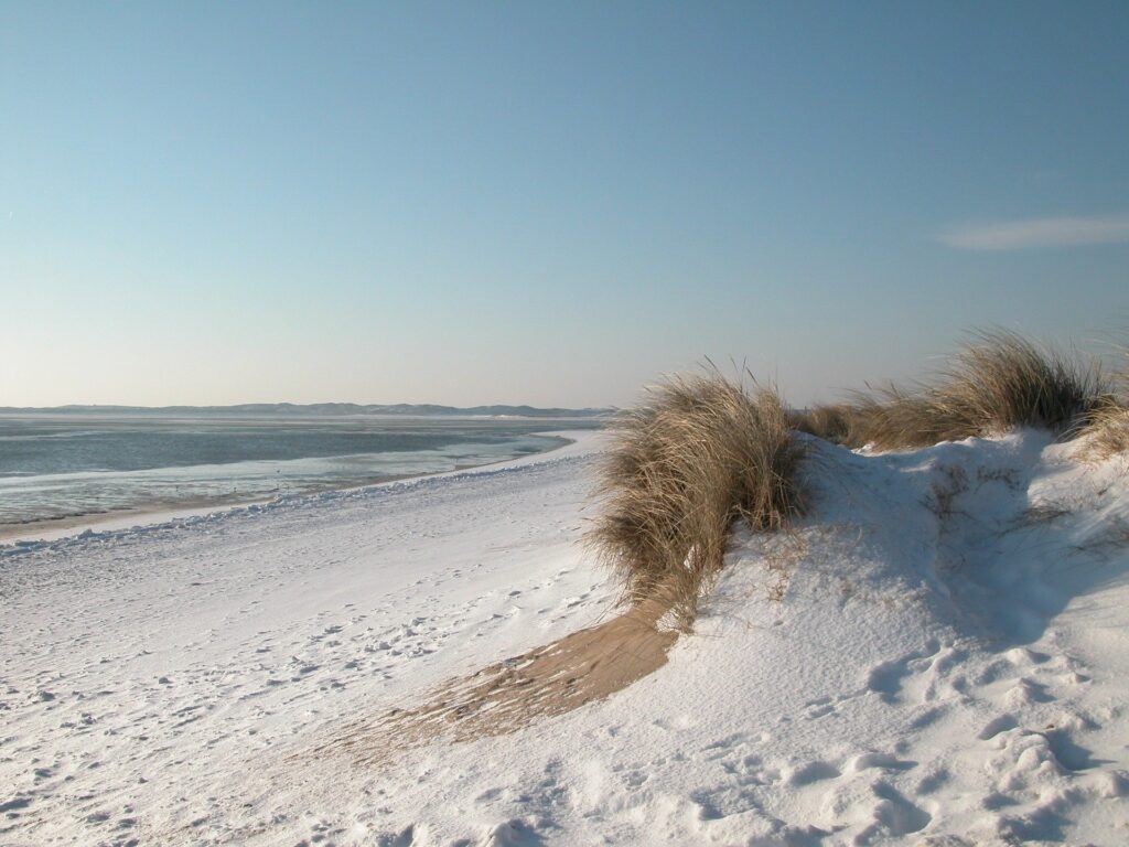 a sandy beach covered in snow next to the ocean